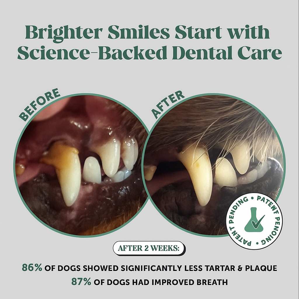 FreshPaws Miracle Dental Powder