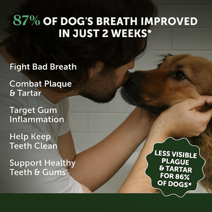 FreshPaws Miracle Dental Powder
