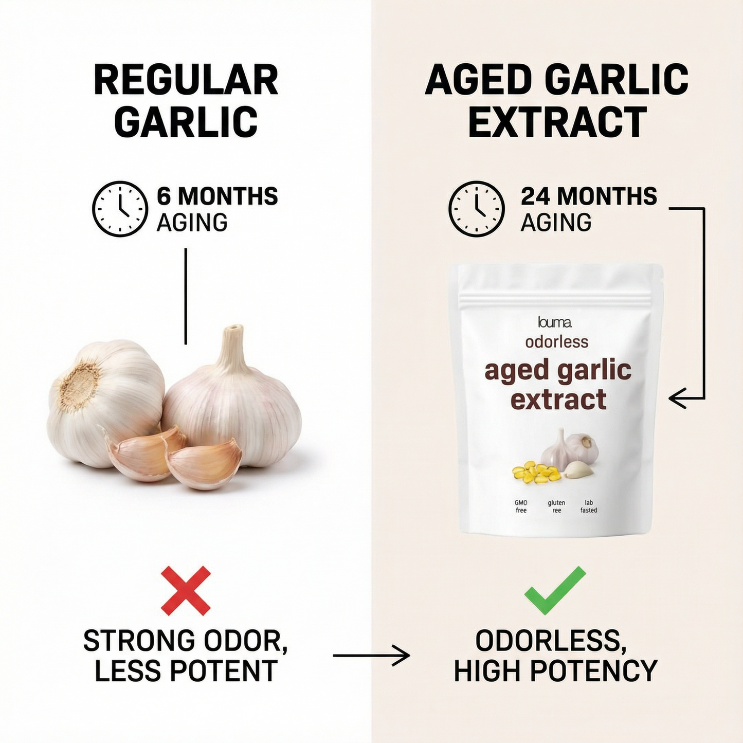 Aged Garlic Extract - 7500mg Odorless