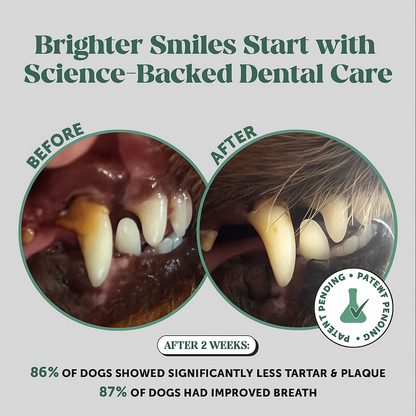 FreshPaws Miracle Dental Powder