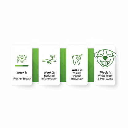 FreshPaws Miracle Dental Powder